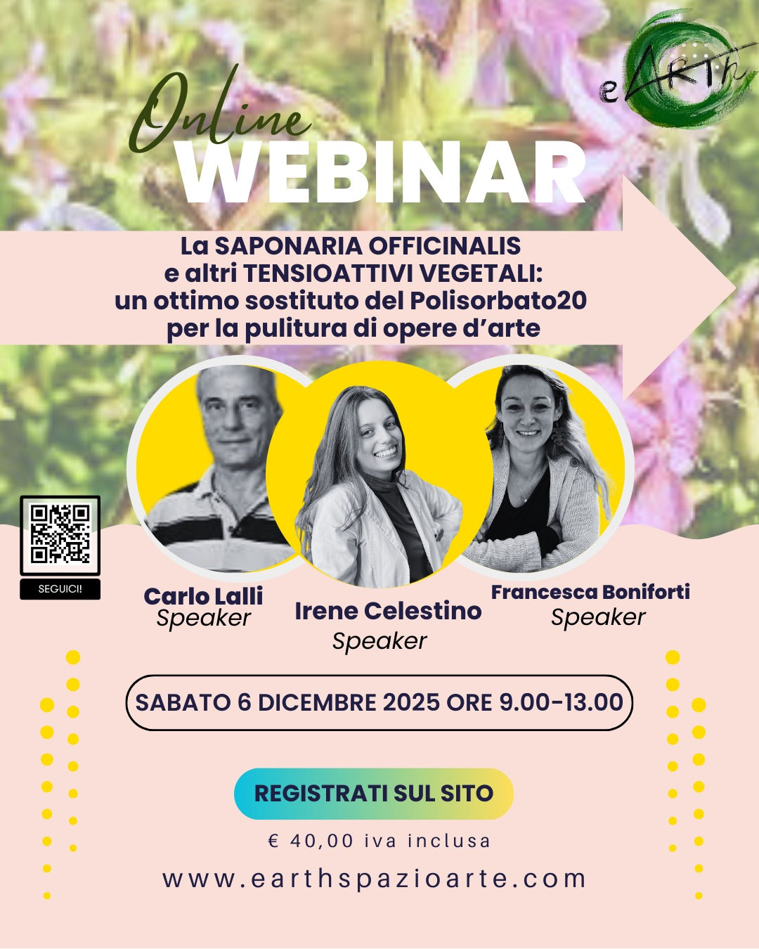 WEBINAR online LA Saponaria officinalis nel restauro