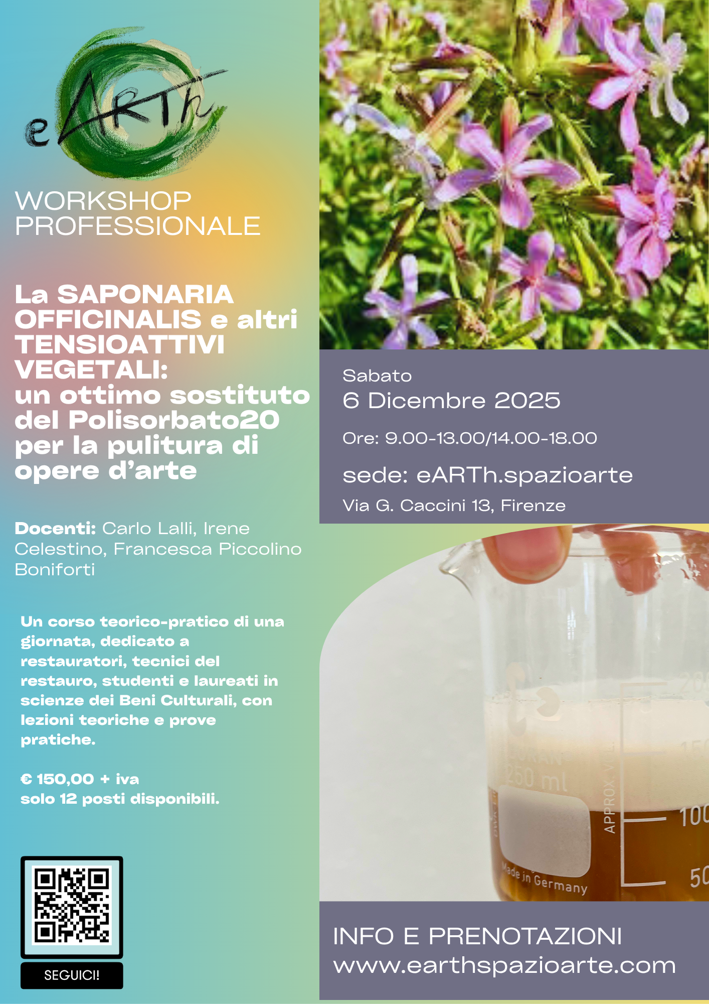 WORKSHOP PROFESSIONALE - LA SAPONARIA OFFICINALIS NEL RESTAURO